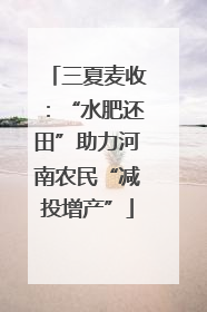 三夏麦收：“水肥还田”助力河南农民“减投增产”