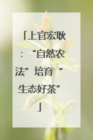 上官宏耿：“自然农法”培育“生态好茶”