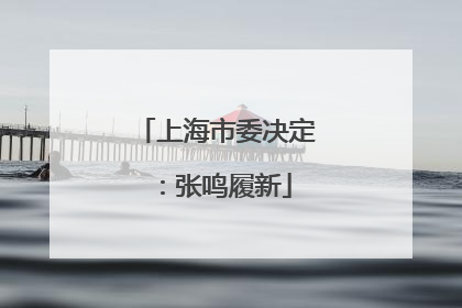 上海市委决定：张鸣履新