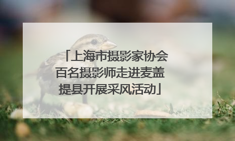 上海市摄影家协会百名摄影师走进麦盖提县开展采风活动