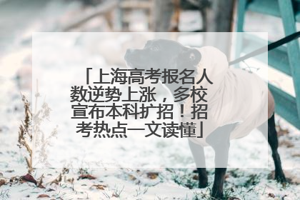 上海高考报名人数逆势上涨，多校宣布本科扩招！招考热点一文读懂