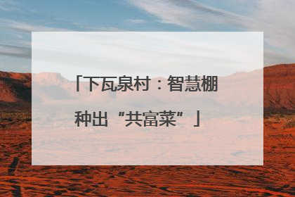 下瓦泉村：智慧棚种出“共富菜”