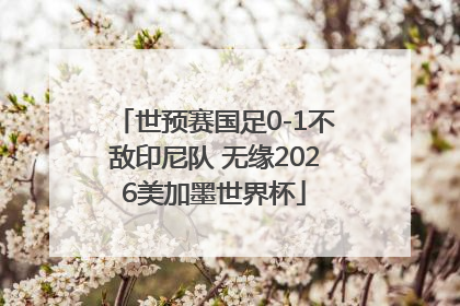 世预赛国足0-1不敌印尼队 无缘2026美加墨世界杯