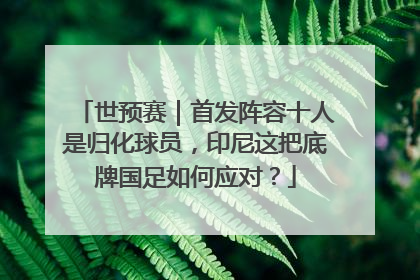 世预赛｜首发阵容十人是归化球员，印尼这把底牌国足如何应对？