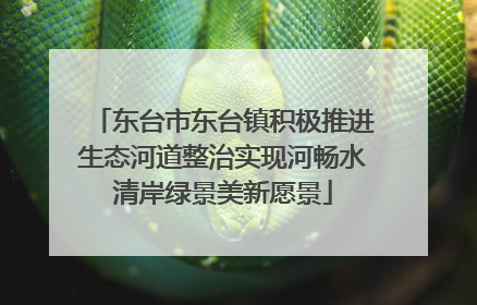 东台市东台镇积极推进生态河道整治实现河畅水清岸绿景美新愿景