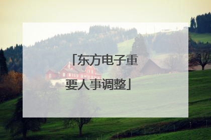 东方电子重要人事调整