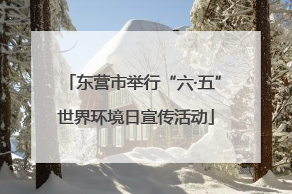 东营市举行“六·五”世界环境日宣传活动
