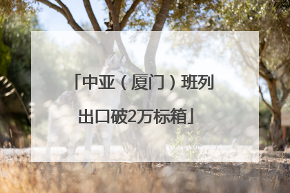 中亚（厦门）班列出口破2万标箱