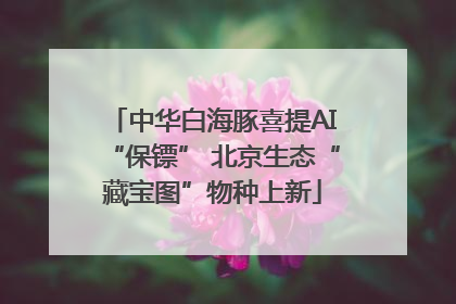 中华白海豚喜提AI“保镖” 北京生态“藏宝图”物种上新