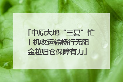 中原大地“三夏”忙丨机收运输畅行无阻 金粒归仓保障有力
