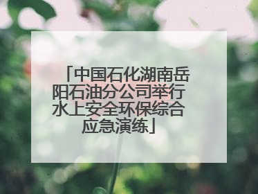 中国石化湖南岳阳石油分公司举行水上安全环保综合应急演练