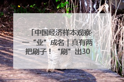中国经济样本观察·一“业”成名｜真有两把刷子！“刷”出30亿级“颜值经济”