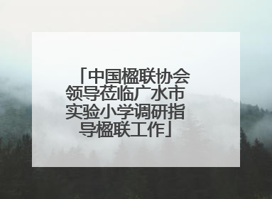 中国楹联协会领导莅临广水市实验小学调研指导楹联工作