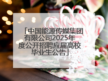 中国能源传媒集团有限公司2025年度公开招聘应届高校毕业生公告