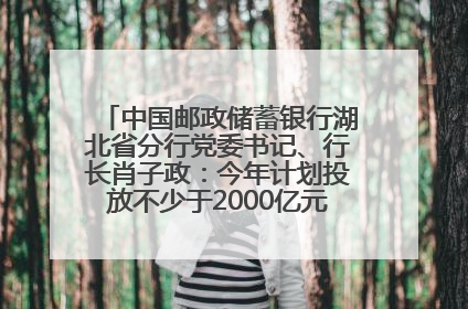 中国邮政储蓄银行湖北省分行党委书记、行长肖子政：今年计划投放不少于2000亿元支持支点建设