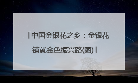 中国金银花之乡：金银花铺就金色振兴路(图)