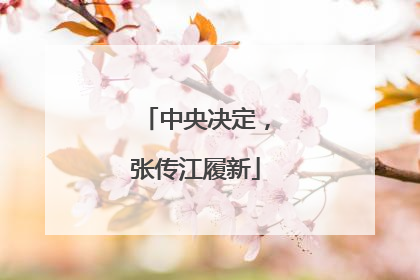 中央决定，张传江履新