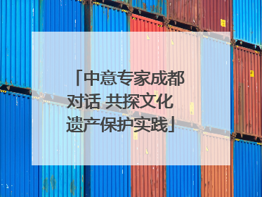 中意专家成都对话 共探文化遗产保护实践