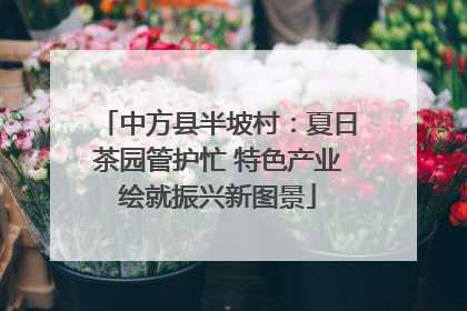 中方县半坡村：夏日茶园管护忙 特色产业绘就振兴新图景