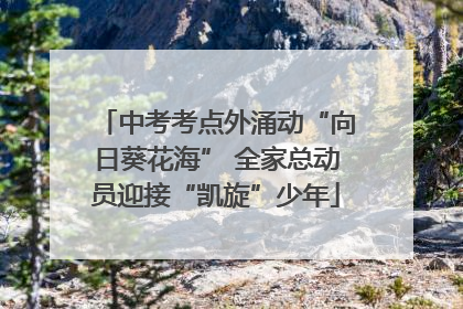 中考考点外涌动“向日葵花海” 全家总动员迎接“凯旋”少年