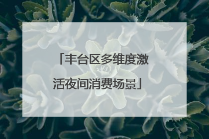 丰台区多维度激活夜间消费场景