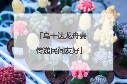 乌干达龙舟赛传递民间友好