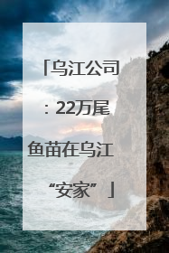 乌江公司：22万尾鱼苗在乌江“安家”