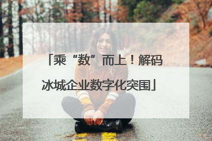 乘“数”而上！解码冰城企业数字化突围