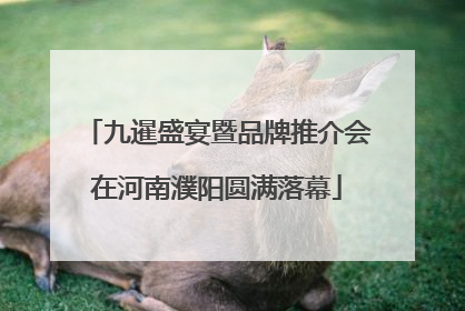 九暹盛宴暨品牌推介会在河南濮阳圆满落幕