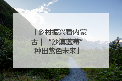乡村振兴看内蒙古｜“沙漠蓝莓”种出紫色未来