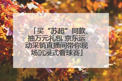 买“苏超”同款、抽万元礼包 京东运动采销直播间带你现场沉浸式看球赛