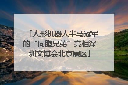 人形机器人半马冠军的“同胞兄弟”亮相深圳文博会北京展区