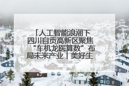 人工智能浪潮下 四川自贡高新区聚焦“车机龙医算数”布局未来产业丨美好生活有“盐”味