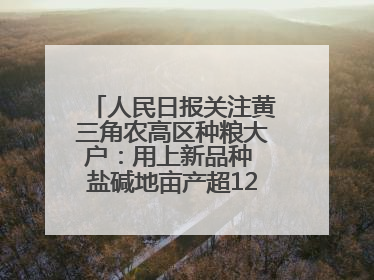 人民日报关注黄三角农高区种粮大户：用上新品种 盐碱地亩产超1200斤