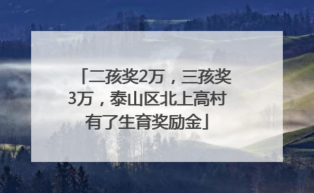 二孩奖2万，三孩奖3万，泰山区北上高村有了生育奖励金