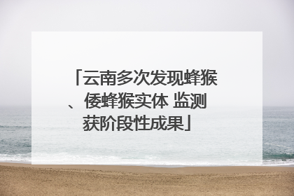 云南多次发现蜂猴、倭蜂猴实体 监测获阶段性成果
