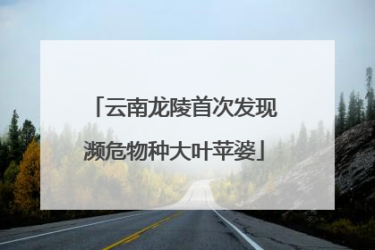 云南龙陵首次发现濒危物种大叶苹婆