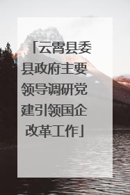 云霄县委县政府主要领导调研党建引领国企改革工作