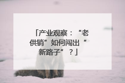 产业观察：“老供销”如何闯出“新路子”？