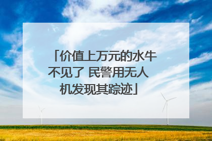价值上万元的水牛不见了 民警用无人机发现其踪迹