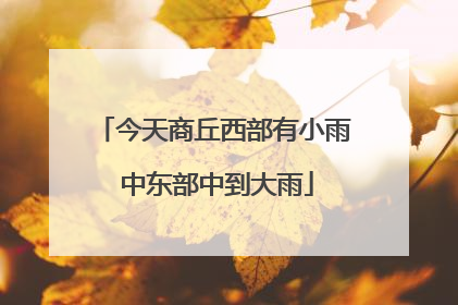 今天商丘西部有小雨 中东部中到大雨
