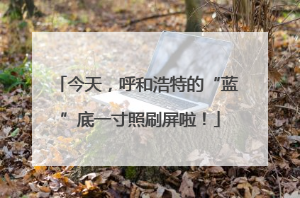 今天，呼和浩特的“蓝”底一寸照刷屏啦！