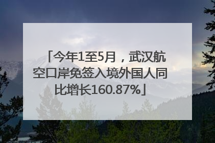 今年1至5月，武汉航空口岸免签入境外国人同比增长160.87%