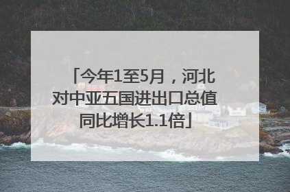 今年1至5月，河北对中亚五国进出口总值同比增长1.1倍