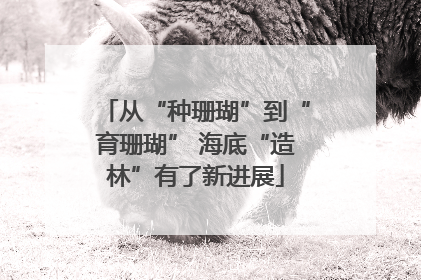 从“种珊瑚”到“育珊瑚” 海底“造林”有了新进展