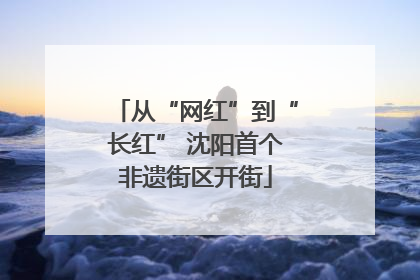 从“网红”到“长红” 沈阳首个非遗街区开街