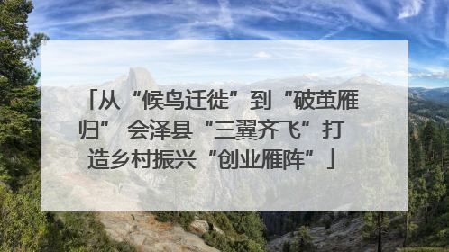 从“候鸟迁徙”到“破茧雁归” 会泽县“三翼齐飞”打造乡村振兴“创业雁阵”