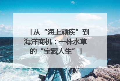 从“海上顽疾”到海洋商机：一株水草的“宝藏人生”