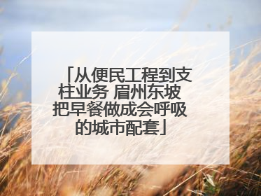 从便民工程到支柱业务 眉州东坡把早餐做成会呼吸的城市配套