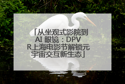 从坐观式影院到 AI 眼镜：DPVR上海电影节解锁元宇宙交互新生态